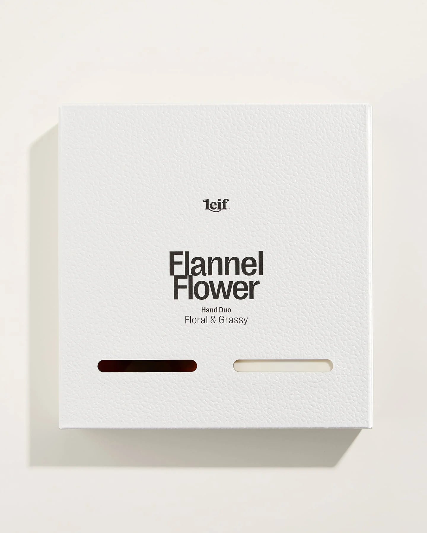 Flannel Flower Duo Large