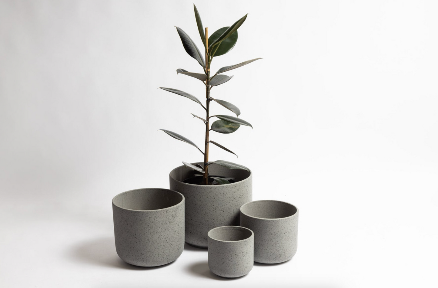 Rustie Cement Pot Large | NED Collections