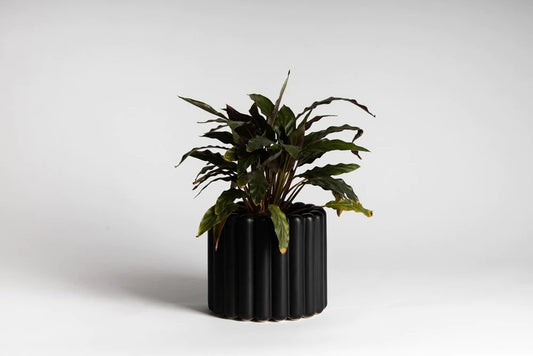 Alto Vase Black | Ned Collections